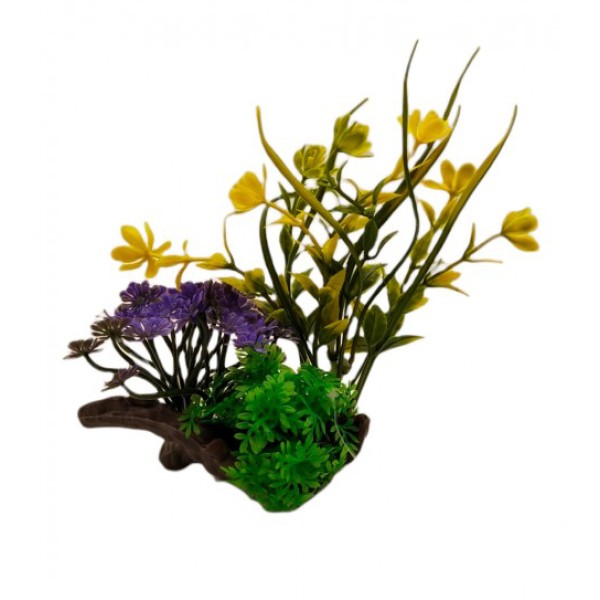 ΔΙΑΚΟΣΜΗΤΙΚΟ ΦΥΤΟ ΕΝΥΔΡΕΙΟΥ 20Χ13CM